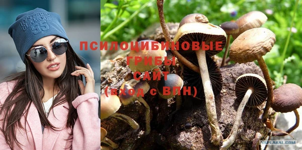 соль ск Кодинск