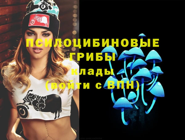 мдпв Коряжма
