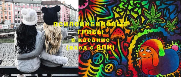 круглые Козловка