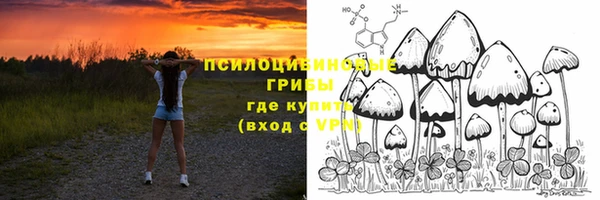 мдпв Киренск