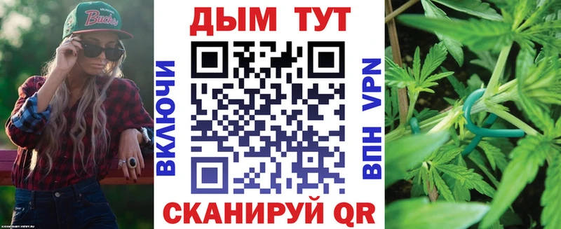 где купить наркотик  Киренск  даркнет формула  Бошки Шишки марихуана 